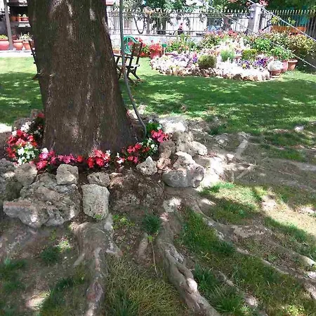 Asteras 4* Káto Loutrákion