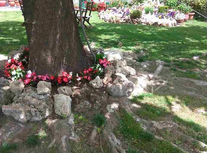 Asteras 4* Káto Loutrákion